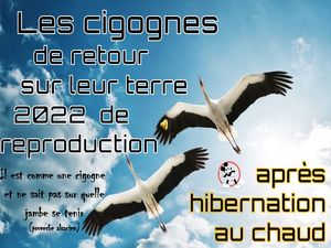 les_cigognes_de_retour_de_bonne_heure__roland