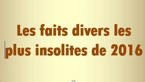 les_faits_divers_les_plus_insolites_de_2016_mauricette3