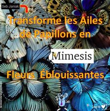 les_fleurs_d_insectes_de_seb_janiak_roland