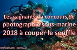 les_gagnants_du_concours_de_photographie_sous_marine_2018_roland