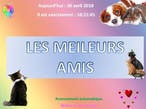 les_meilleurs_amis_chantha