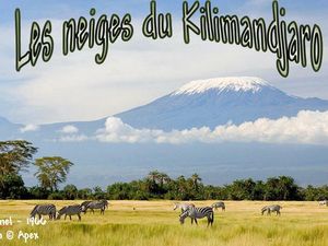 les_neiges_du_kilimandjaro__apex