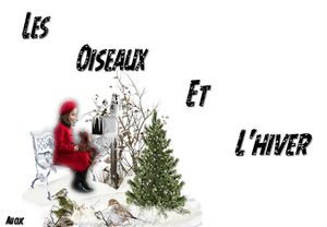 les_oiseaux_et_l_hiver_dede_51