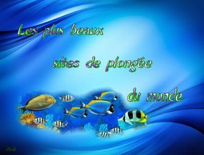 les_plus_beaux_sites_de_plongee_du_monde__dede_51