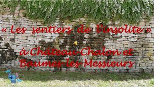 les_sentiers_de_l_insolite_a_chateau_chalon__roland