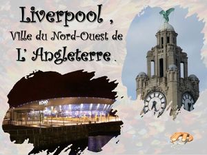 liverpool__p_sangarde