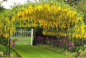 ma_jolie_jolie_france_dan_chag