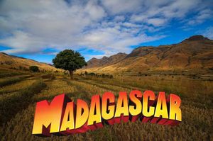 madagascar__by_ibolit