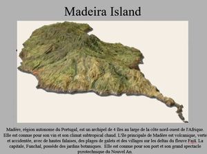 madeira_islands_g_scardamaglia