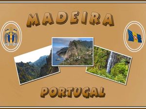 madeira_steve