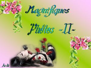 magnifiques_photos_2_dede_51_