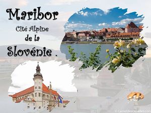 maribor__p_sangarde