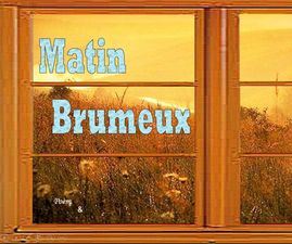 matin_brumeux_apex