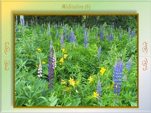 meditation_6__reginald_day