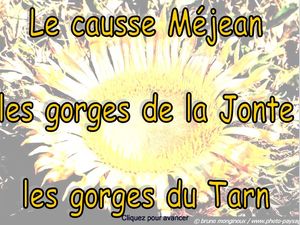 mejean_jonte_tarn