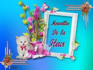 merveilles_de_la_fleur__dede_51