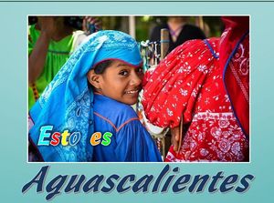 mexique_aguascalientes_steve