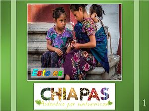 mexique_c_est_chiapas_1_lalo_steve