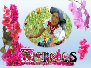 mexique_c_est_morelos_lalo_steve