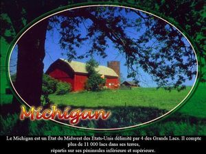 michigan_ibolit