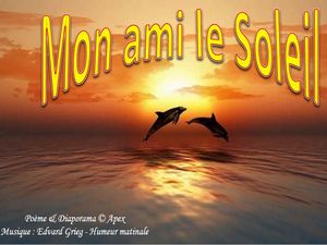 mon_ami_le_soleil__apex