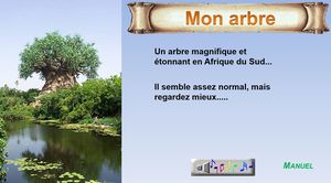 mon_arbre_phil_v