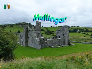 mullingar__stellinna