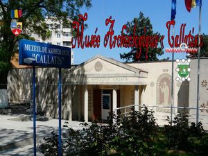 musee_archeologique_callatis__stellinna