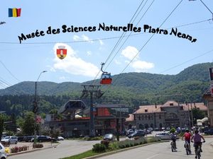 musee_des_sciences_naturelles_piatra_neamt__stellinna