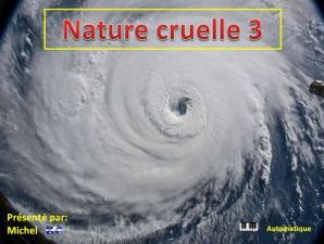 nature_cruelle_3__michel