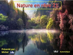 nature_en_reve_21_michel