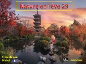 nature_en_reve_29__michel