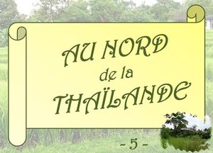 nord_thailande_5_journee_decouverte_marijo