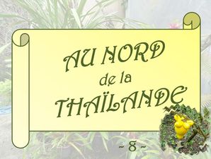 nord_thaïlande_8_deci_dela_marijo