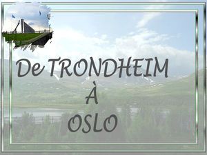 norvege_sud_2_trondeim_oslo__marijo