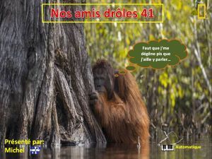 nos_amis_droles_41_michel