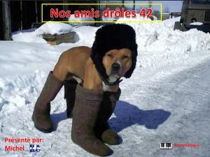 nos_amis_droles_42_michel