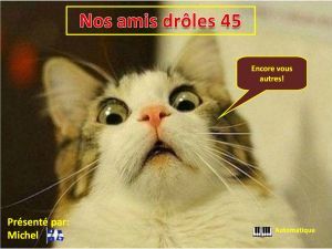 nos_amis_droles_45_michel