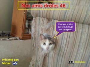 nos_amis_droles_46_michel