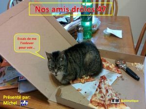 nos_amis_droles_47_michel