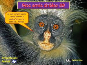 nos_amis_droles_49_michel