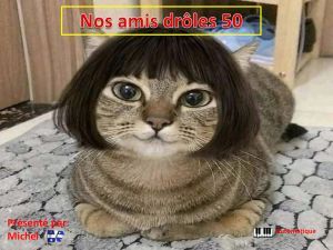 nos_amis_droles_50_michel