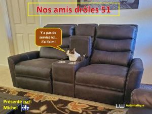 nos_amis_droles_51_michel