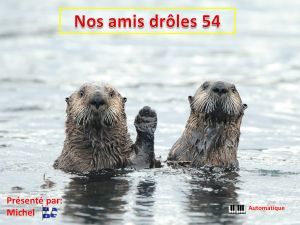 nos_amis_droles_54__michel