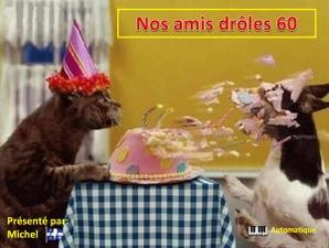 nos_amis_droles_60__michel