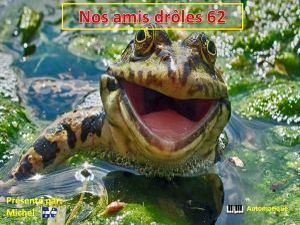 nos_amis_droles_62__michel