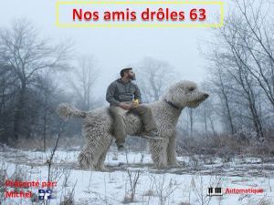 nos_amis_droles_63__michel