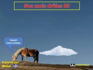 nos_amis_droles_69_michel