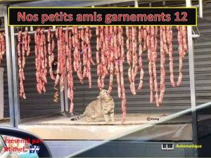 nos_petits_amis_garnements_12_michel