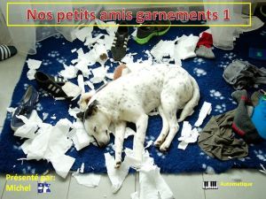 nos_petits_amis_garnements_1_michel